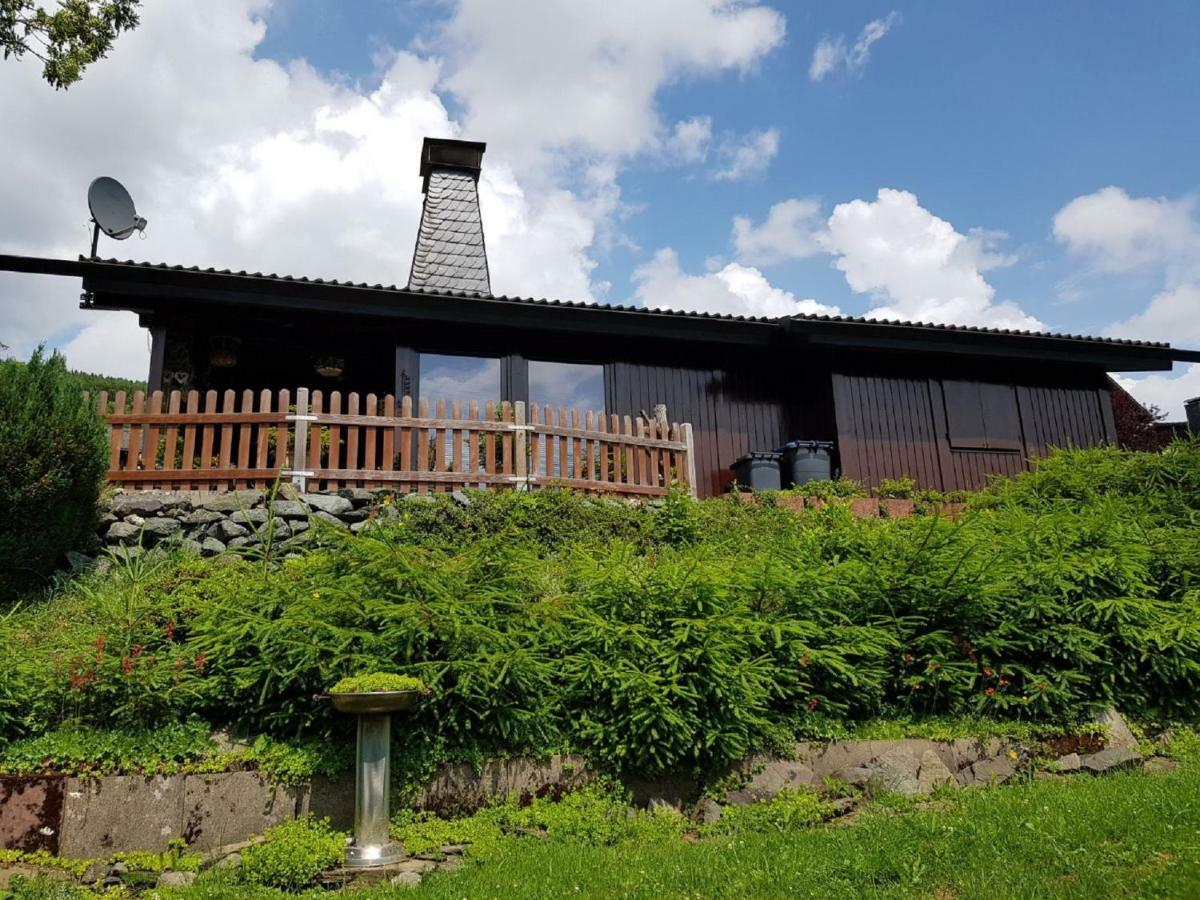 Haus Ani Winterberg Villa Екстериор снимка