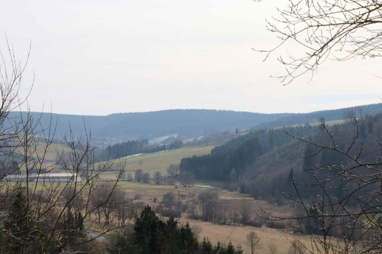 Haus Ani Winterberg Villa Екстериор снимка