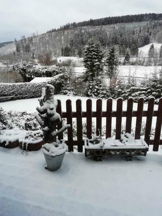 Haus Ani Winterberg Villa Екстериор снимка